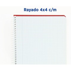 Cuaderno Espiral Cuadrícula 4x4 con Margen 80 Hojas Colores Surtidos Enri Status Pack de 5