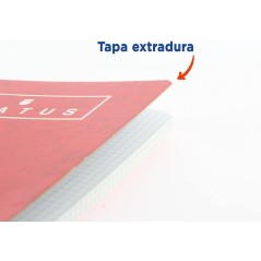 Cuaderno Espiral Cuadrícula 4x4 con Margen 80 Hojas Colores Surtidos Enri Status Pack de 5